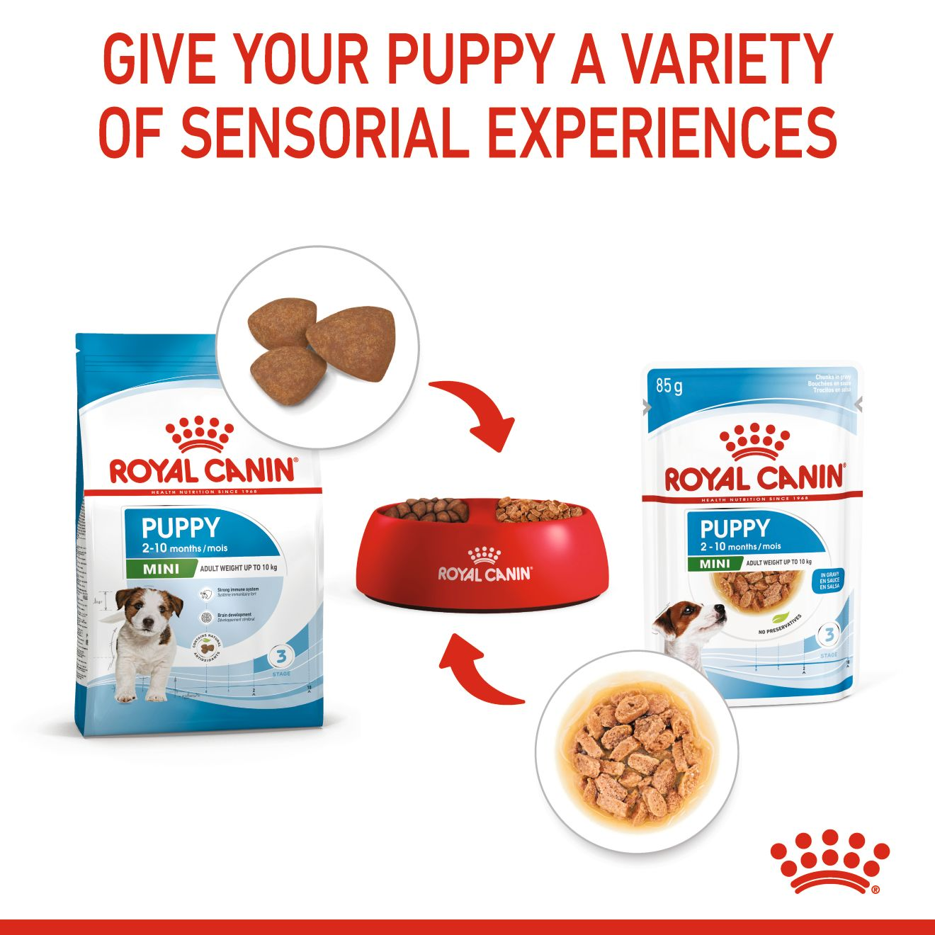 ROYAL CANIN Mini Breed Junior Puppy Pouch 85g
