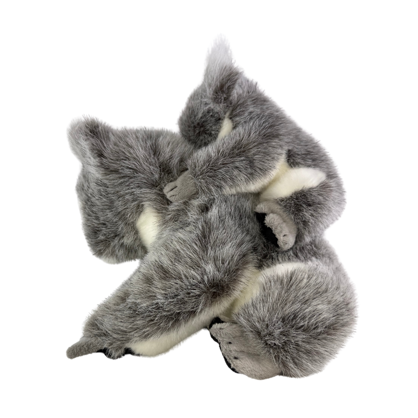 Bocchetta Plush Kelly & Kiri - Koala with baby on back - 23cm