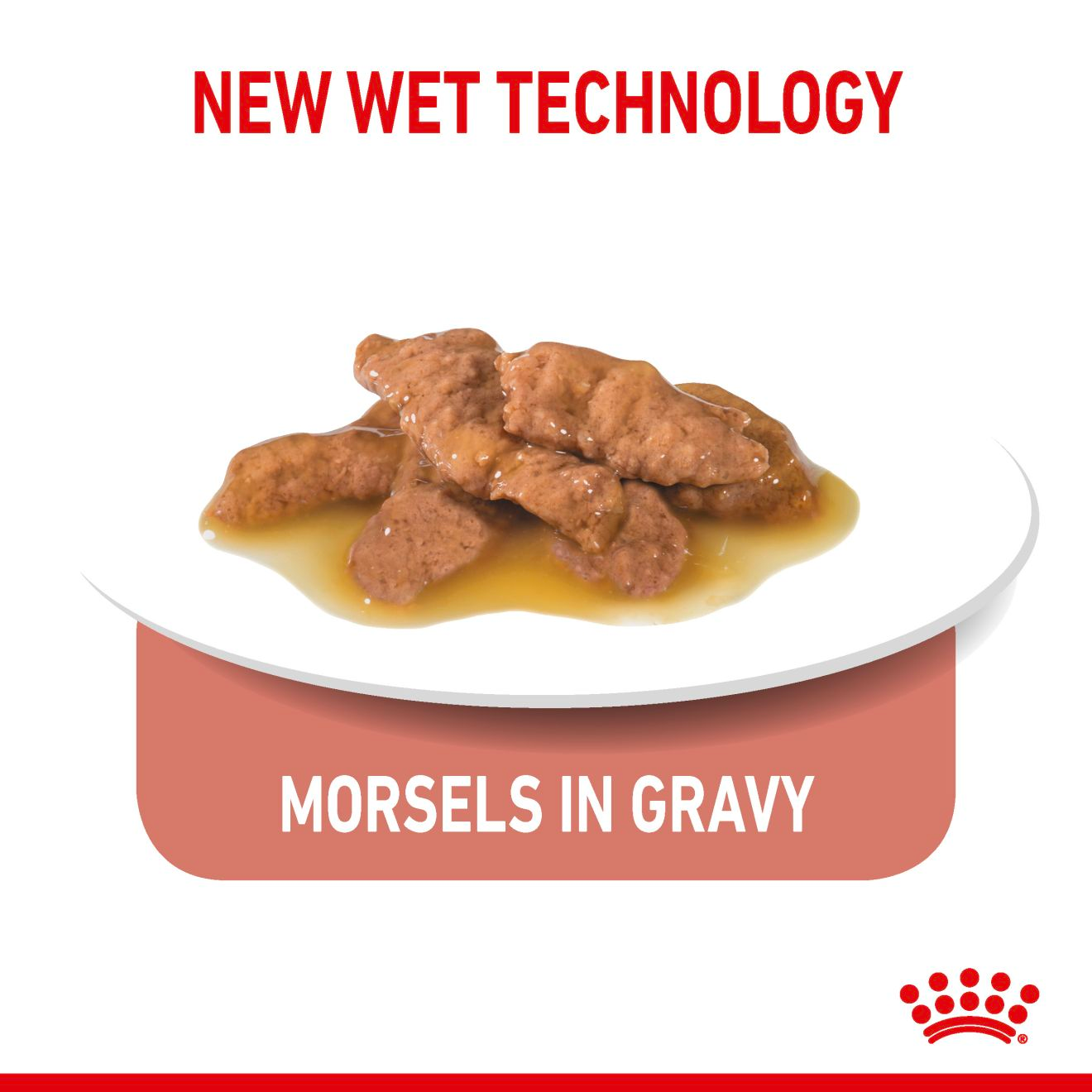 Royal Canin Indoor Adult Cat Pouch Gravy 85g