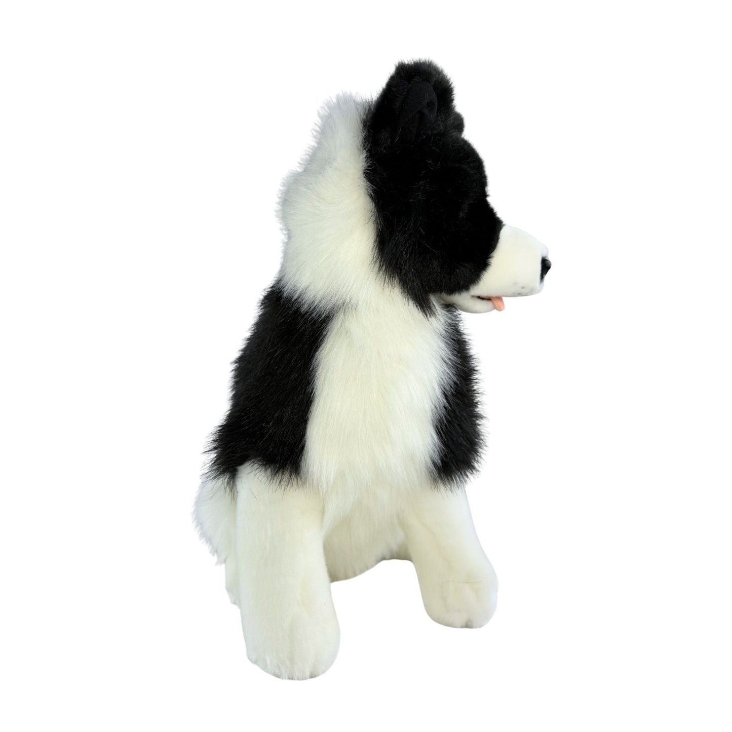 Bocchetta Plush Tommy - Border Collie - 35cm, sitting