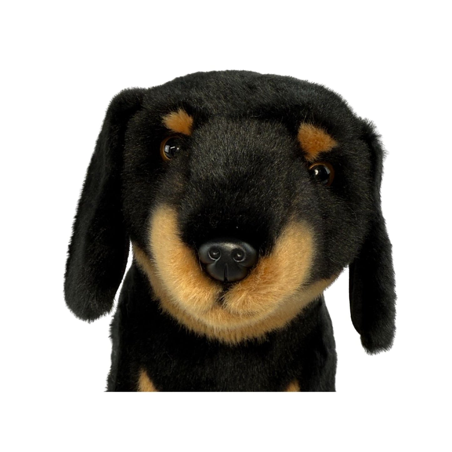 Bocchetta Plush Buddy - Dachshund - 36cm standing, black and tan