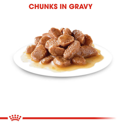 ROYAL CANIN Instinctive Cat Food in Gravy 85g