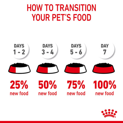 ROYAL CANIN Digest Care Gravy Adult Cat Food Pouch 85g