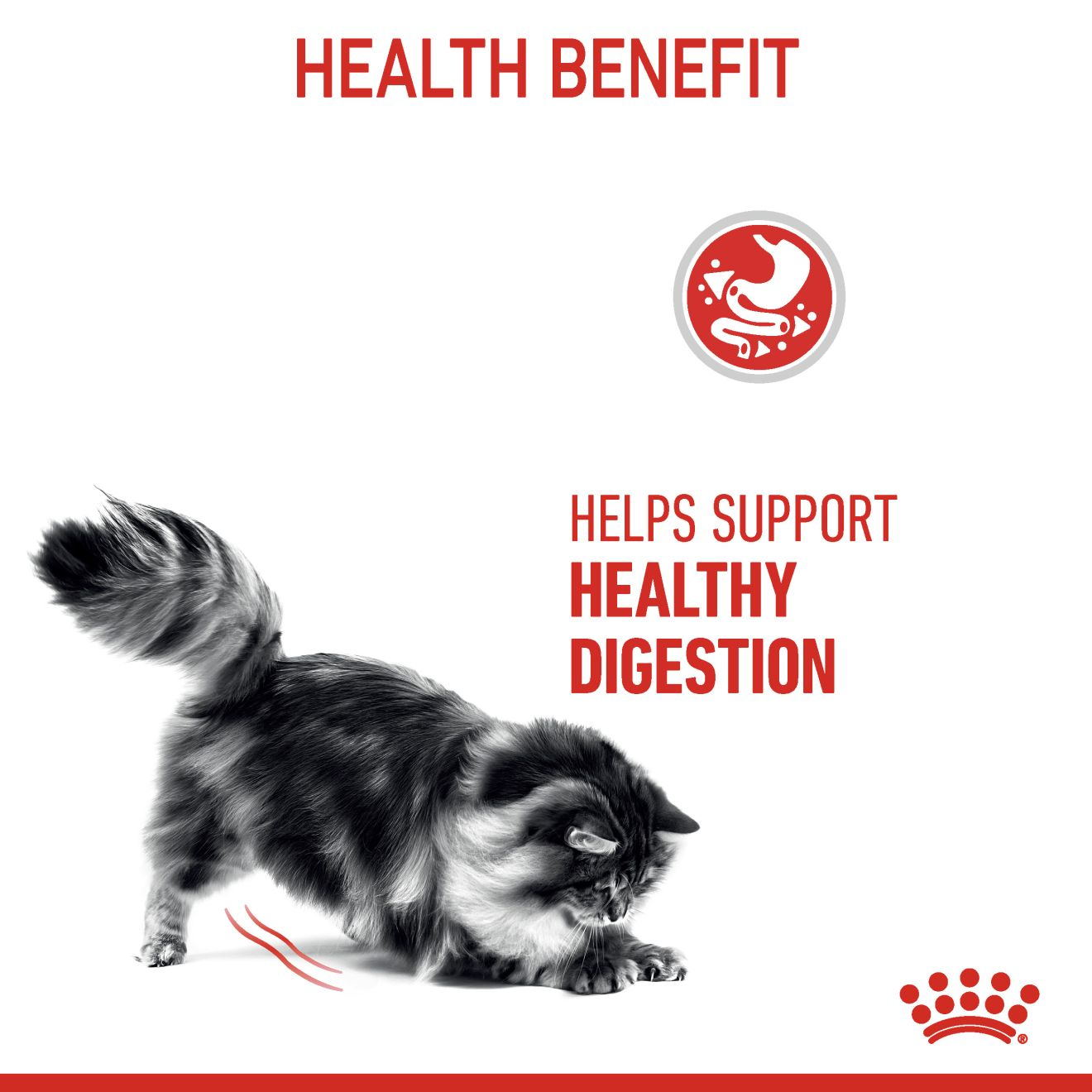 ROYAL CANIN Digestive Care Adult Cat Food 2kg
