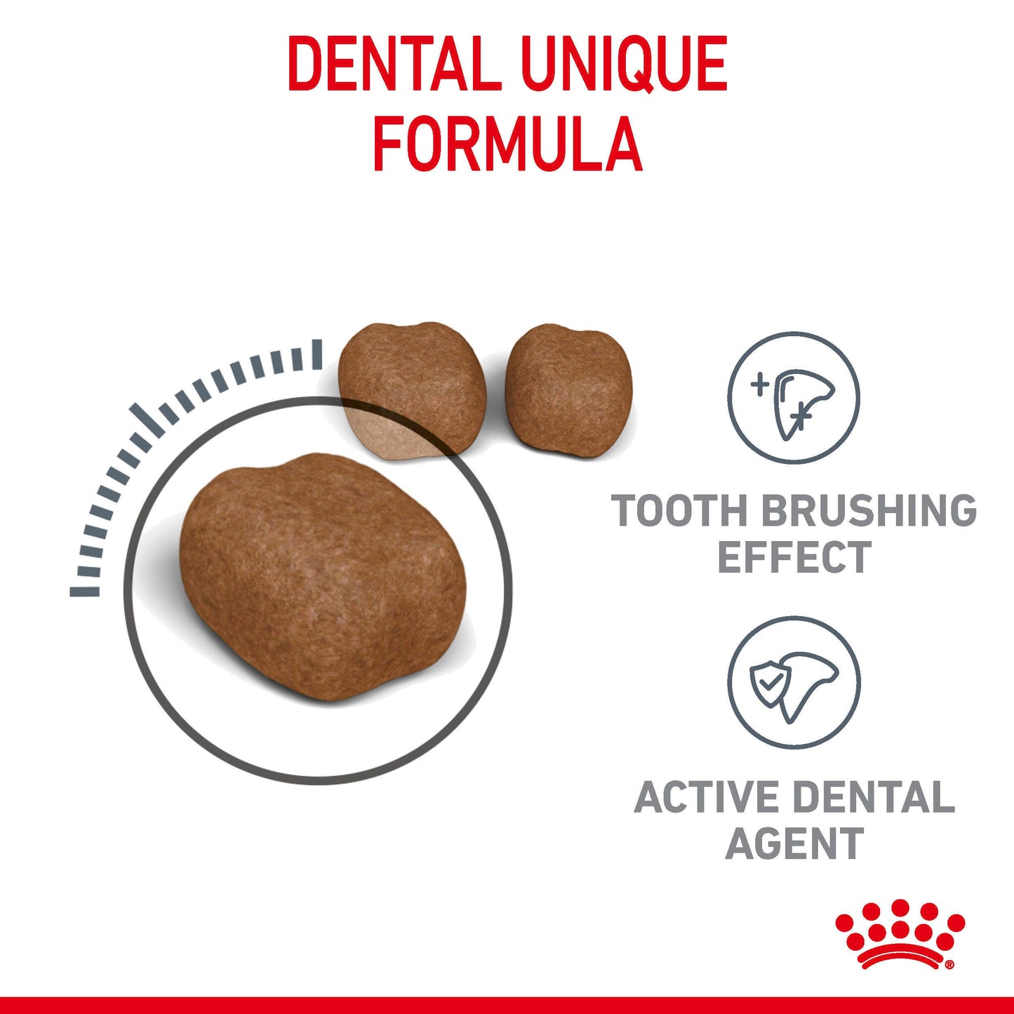 ROYAL CANIN Dental Care Adult Cat Food 1.5kg