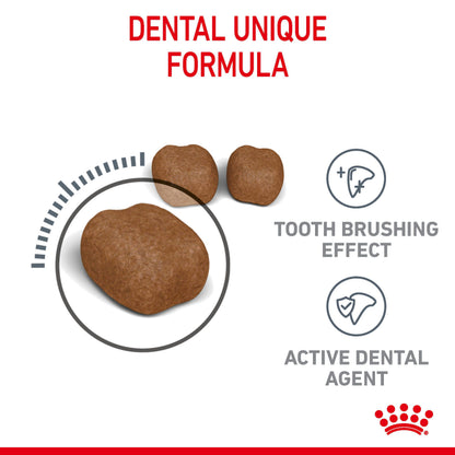 ROYAL CANIN Dental Care Adult Cat Food 1.5kg