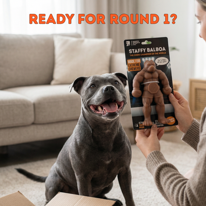 Happy Staffy Co. Staffy Balboa Dog Chew Toy