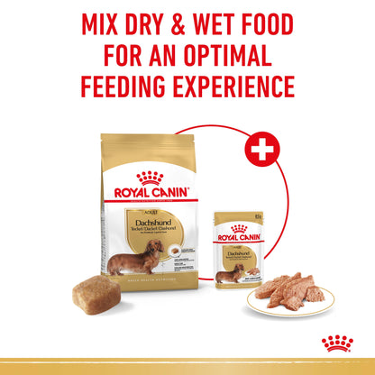 ROYAL CANIN Dachshund Adult Dog Food 1.5kg