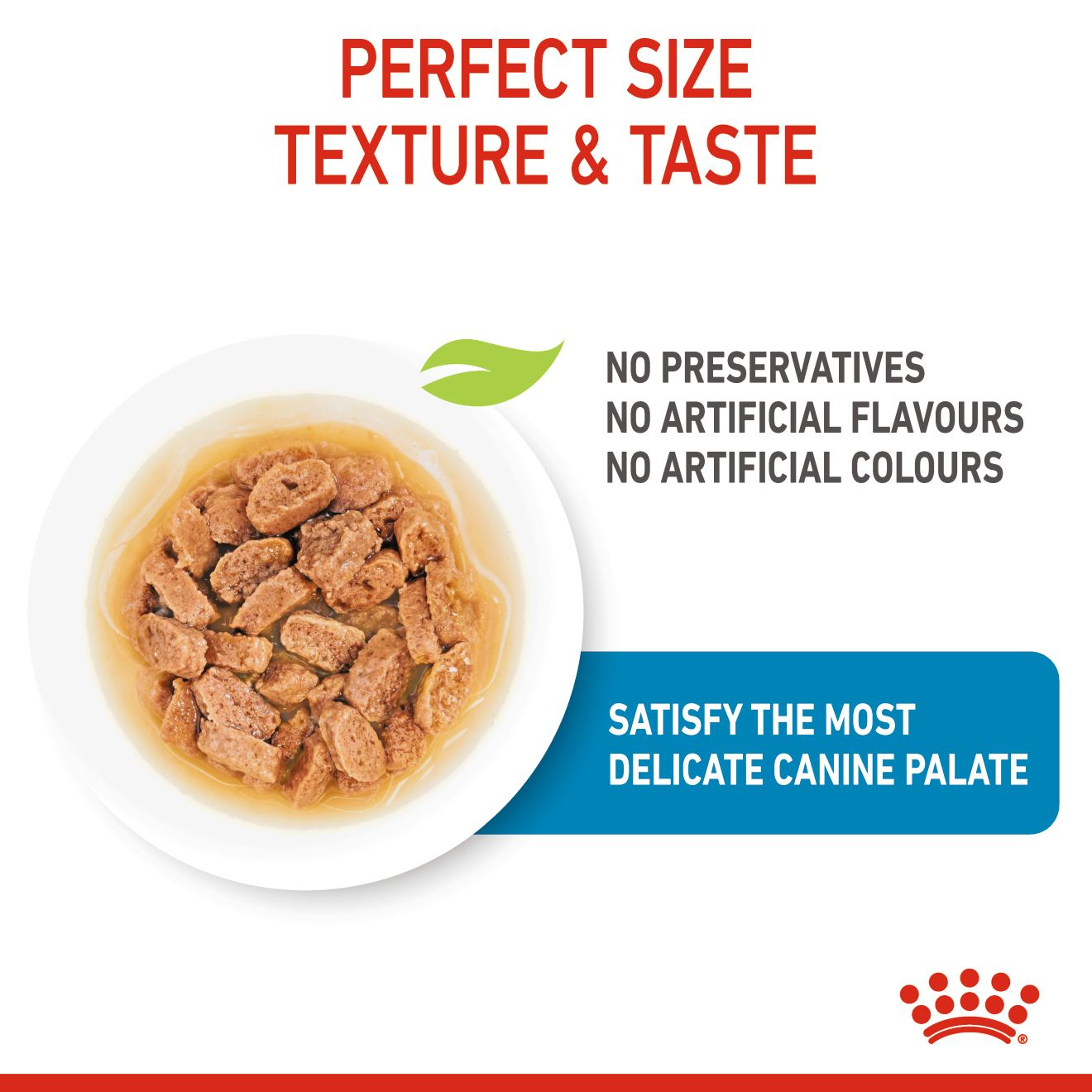 ROYAL CANIN Mini Breed Junior Puppy Pouch 85g