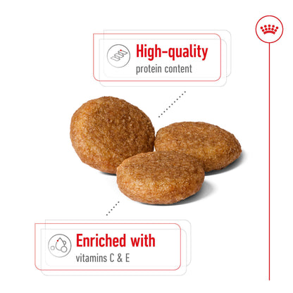 ROYAL CANIN Medium Breed Adult Dog Dry Food 4kg
