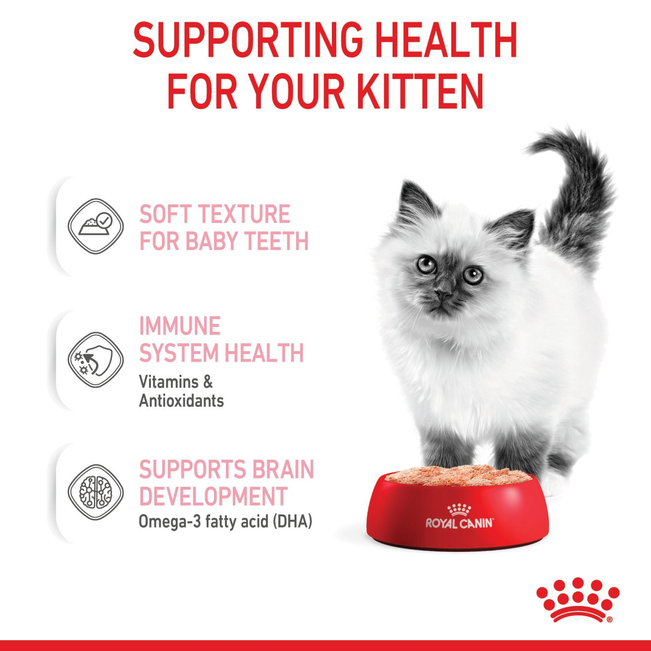 ROYAL CANIN Kitten Loaf Kitten Food Pouch 85g