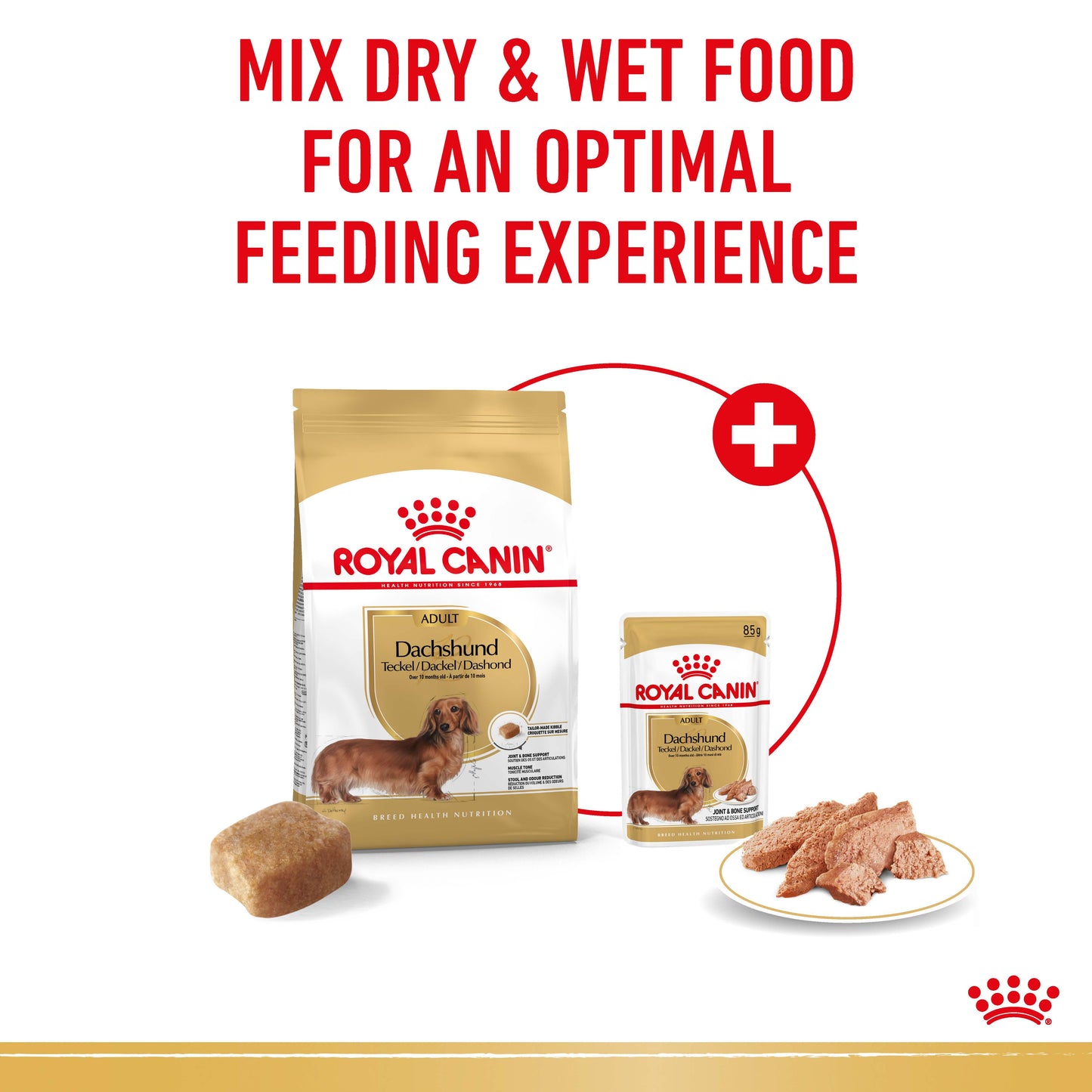 ROYAL CANIN Dachshund Adult Dog Pouch 85g