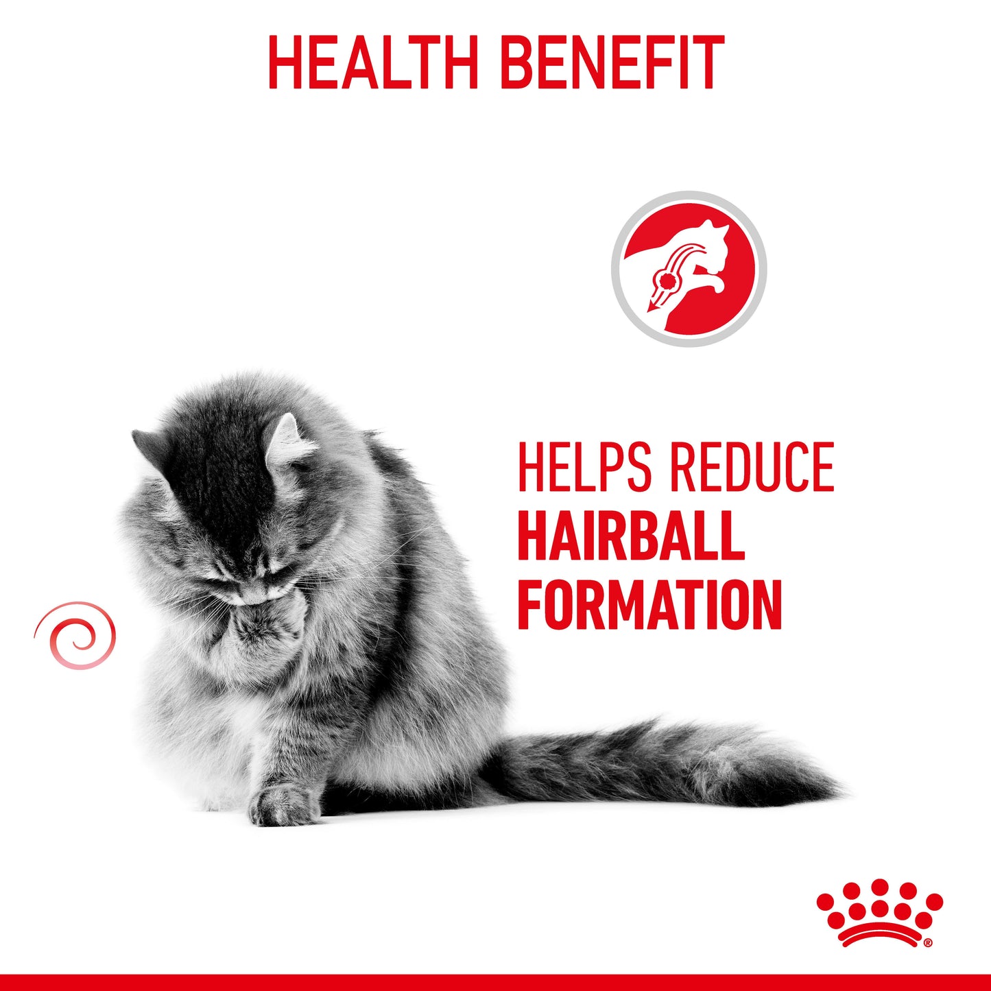 ROYAL CANIN Hairball Care 2kg