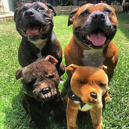 Bocchetta Plush Lester - Staffy - 32cm sitting, brown
