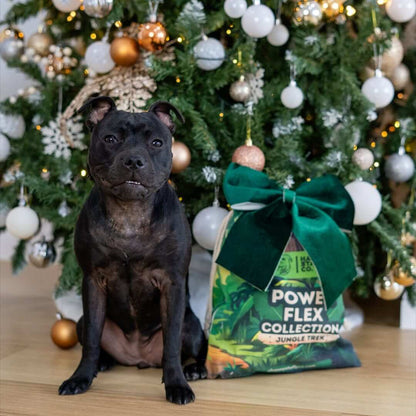 Happy Staffy Co. PowerFlex Jungle Trek Collection Dog Chew Toy