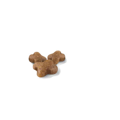 ROYAL CANIN Growth Kitten Cat Food 2kg