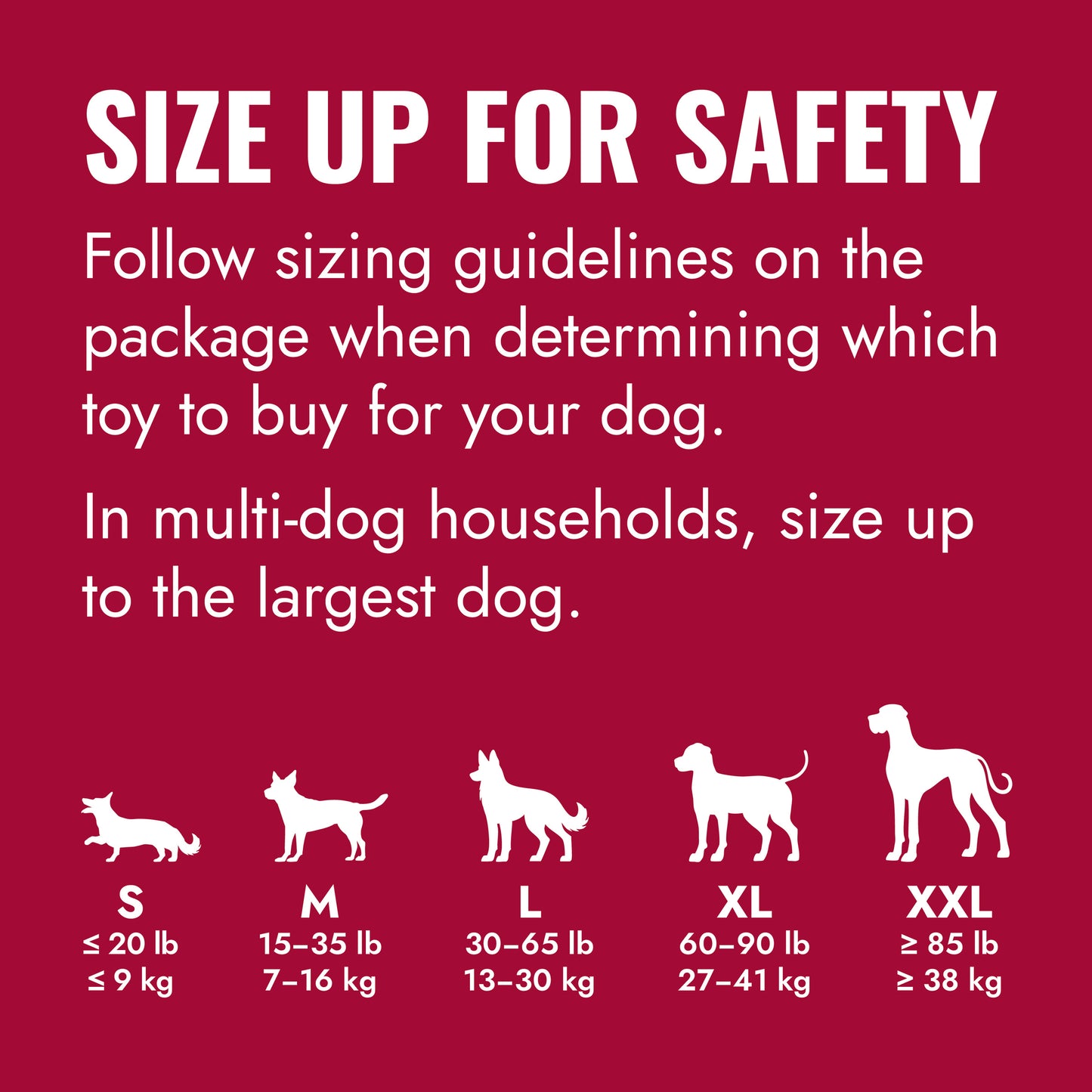 KONG Classic Dog Toy