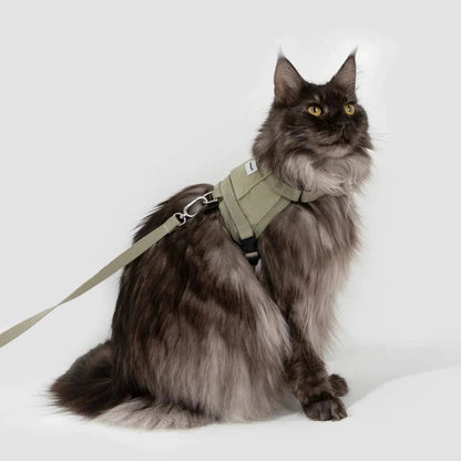 Valley Series Cat Vest Dog Harness Dog Leash Set - Olive