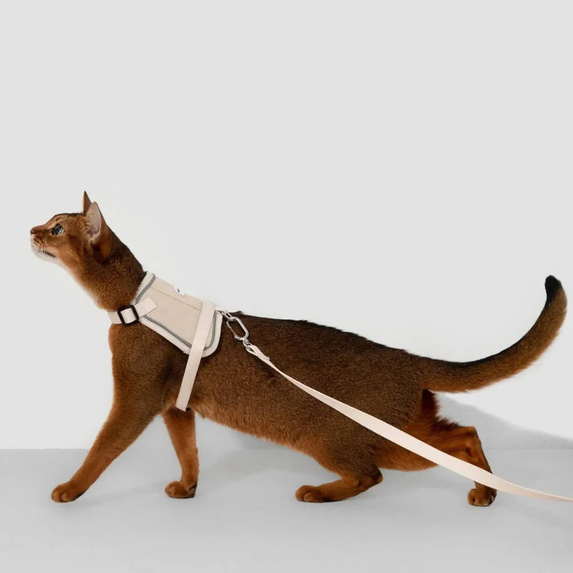 Valley Series Cat Vest Dog Harness Dog Leash Set - Ash Grey