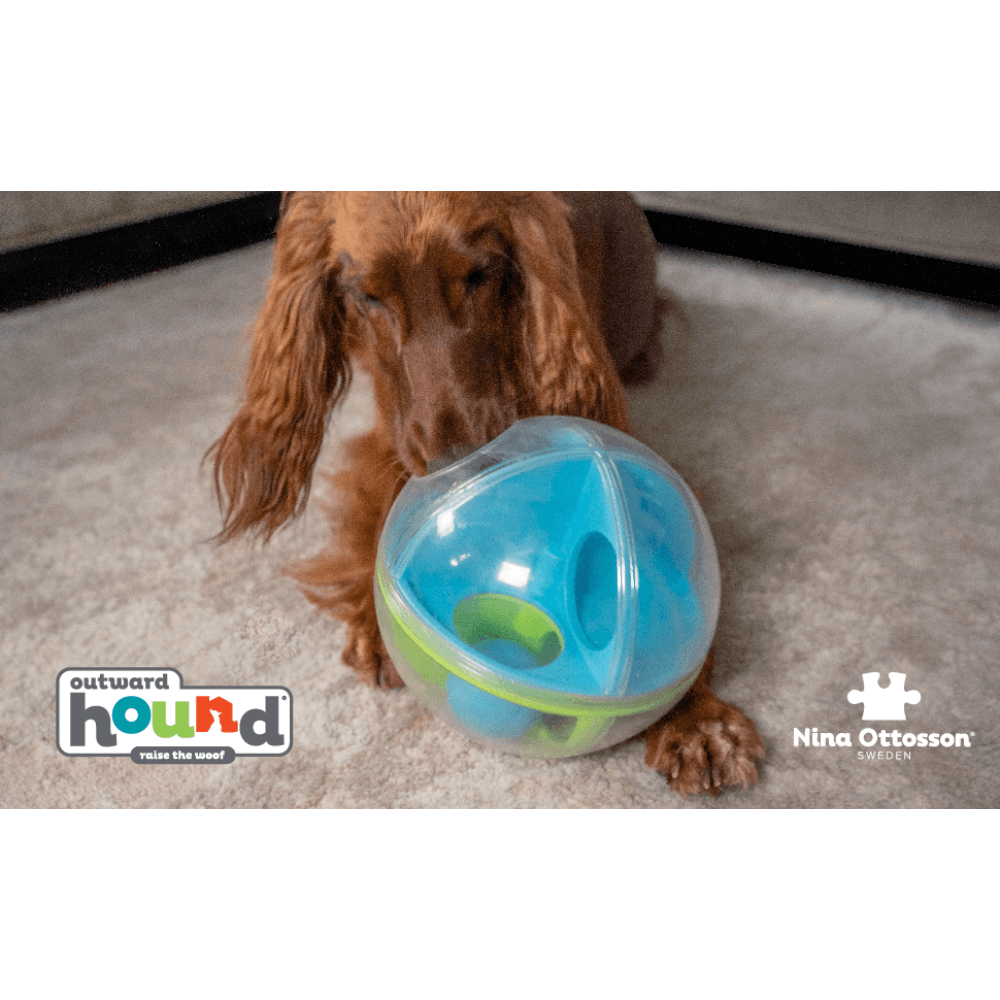 NINA OTTOSSON A-Maze Ball Interactive Puzzle Dog Toy