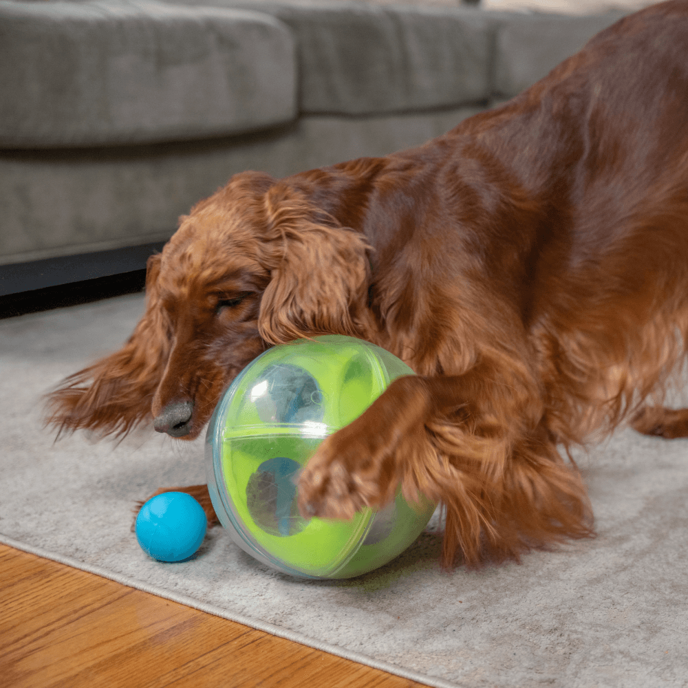 NINA OTTOSSON A-Maze Ball Interactive Puzzle Dog Toy