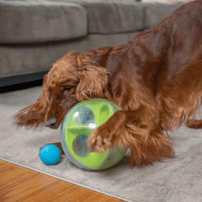 NINA OTTOSSON A-Maze Ball Interactive Puzzle Dog Toy
