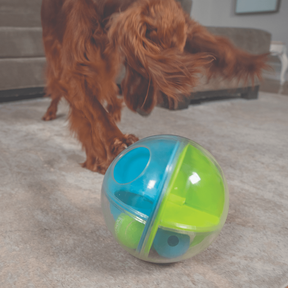 NINA OTTOSSON A-Maze Ball Interactive Puzzle Dog Toy