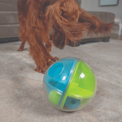 NINA OTTOSSON A-Maze Ball Interactive Puzzle Dog Toy