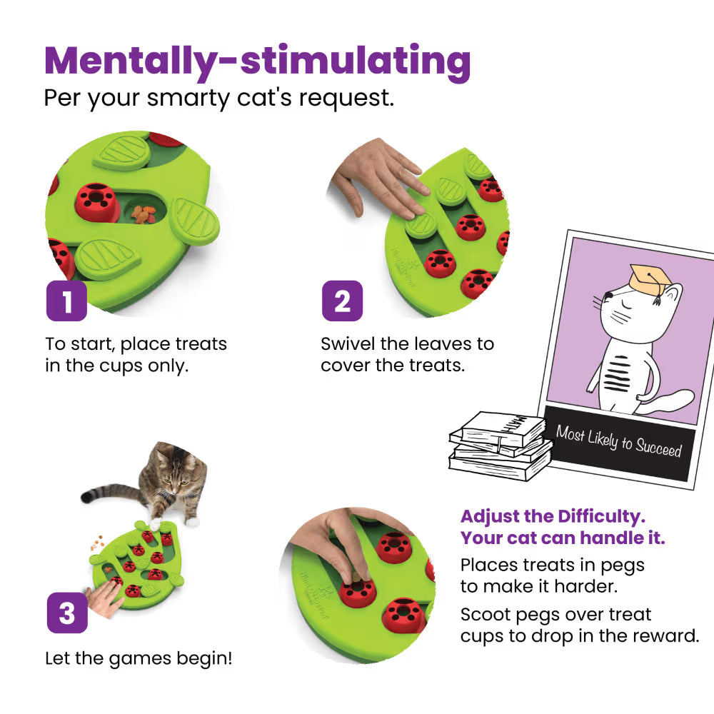 Nina Ottosson CATSTAGES Cat Puzzle And Play Buggin Out