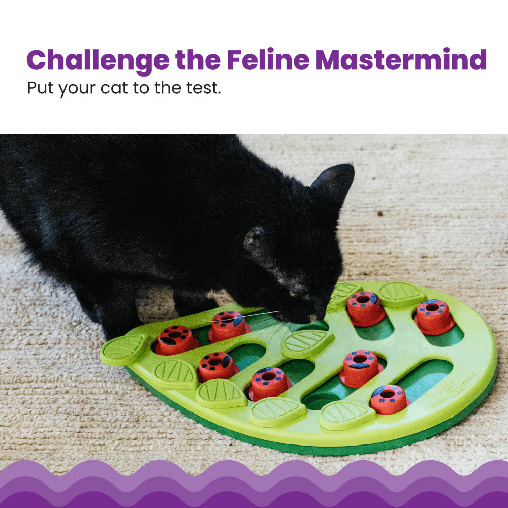 Nina Ottosson CATSTAGES Cat Puzzle And Play Buggin Out