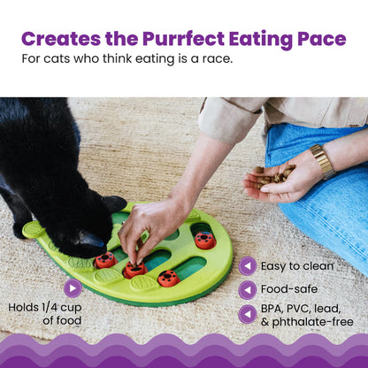 Nina Ottosson CATSTAGES Cat Puzzle And Play Buggin Out