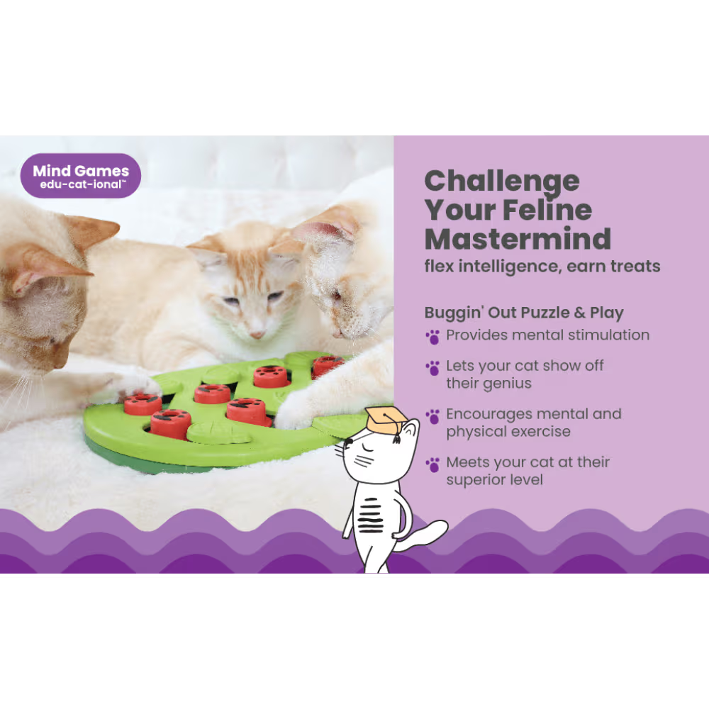 Nina Ottosson CATSTAGES Cat Puzzle And Play Buggin Out