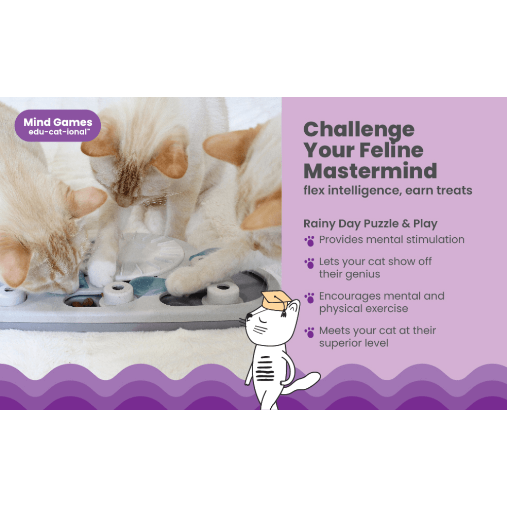 Nina Ottosson CATSTAGES Cat Puzzle And Play Rainy Day
