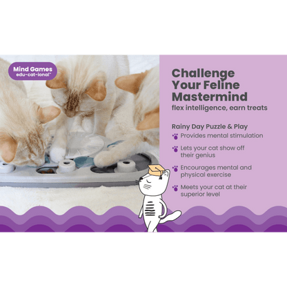 Nina Ottosson CATSTAGES Cat Puzzle And Play Rainy Day