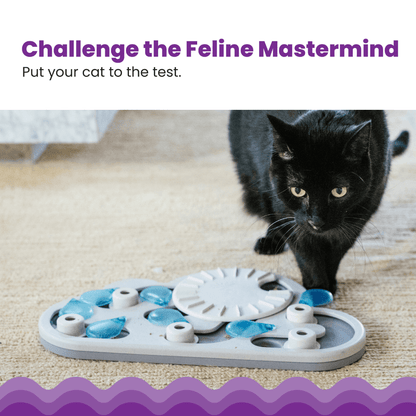 Nina Ottosson CATSTAGES Cat Puzzle And Play Rainy Day