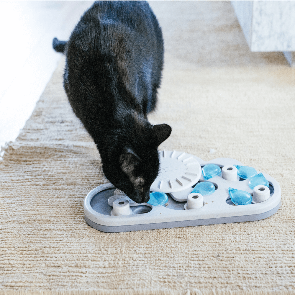 Nina Ottosson CATSTAGES Cat Puzzle And Play Rainy Day