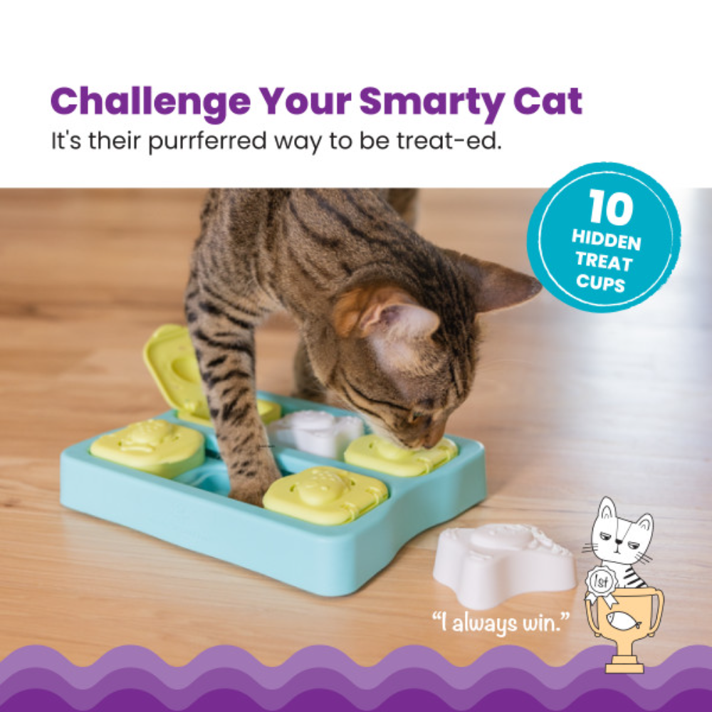 Nina Ottosson Kitty Cube Treat Dispensing Puzzle Cat Toy - Level 2