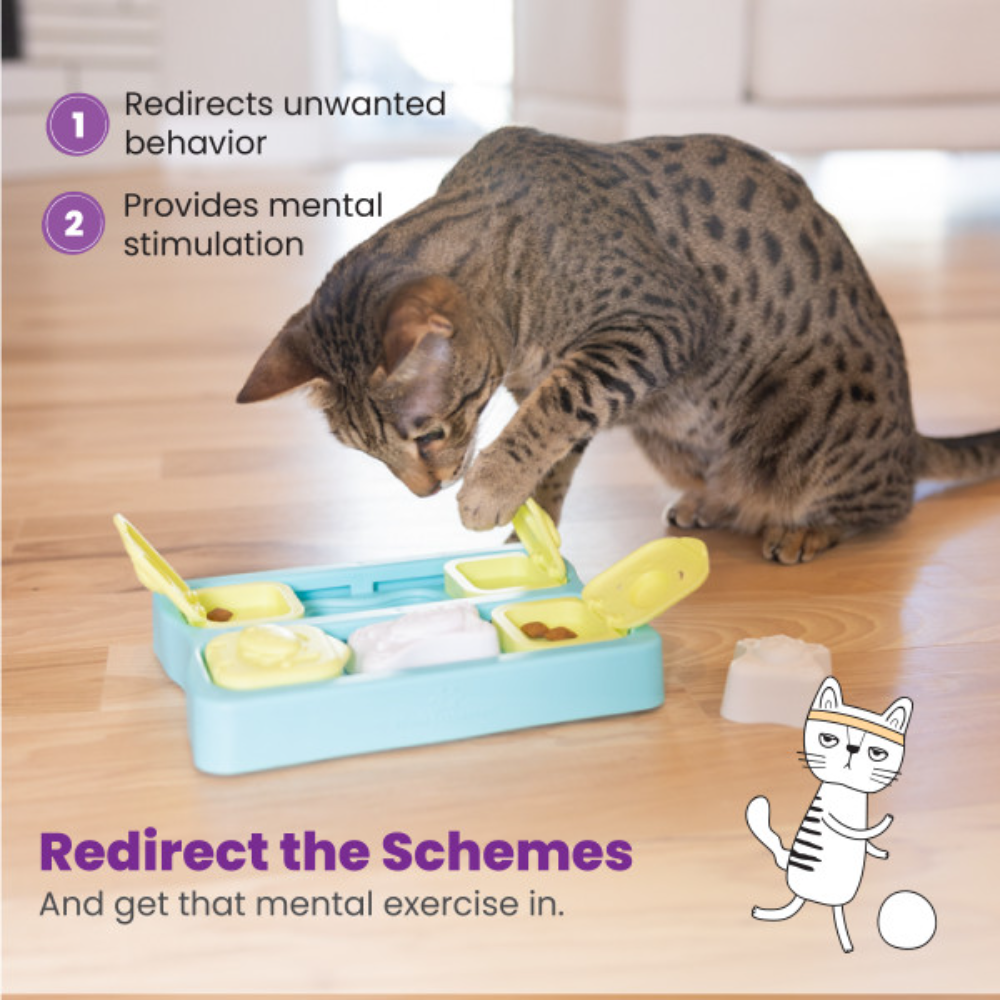 Nina Ottosson Kitty Cube Treat Dispensing Puzzle Cat Toy - Level 2