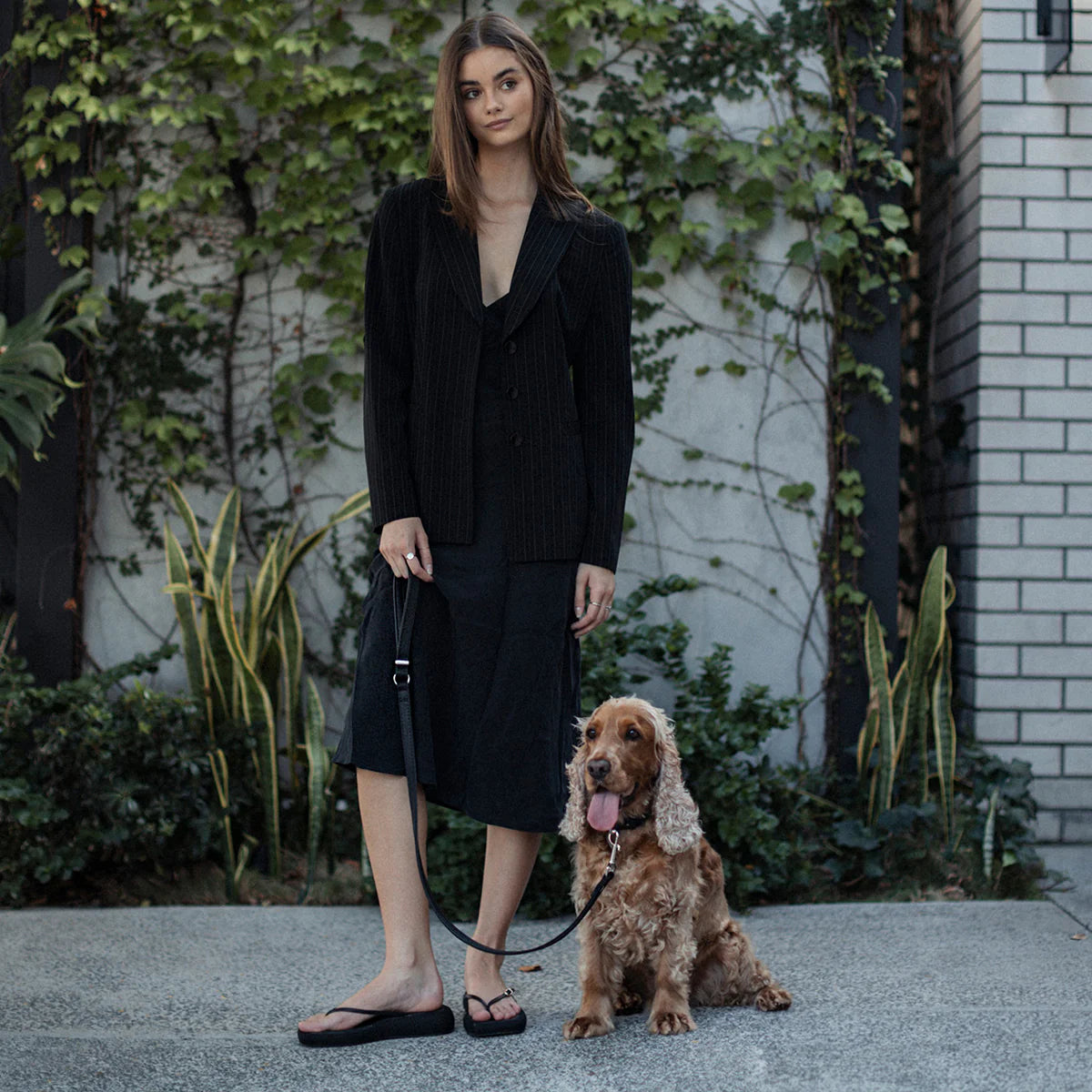 Ezydog Oxford Leash LITE