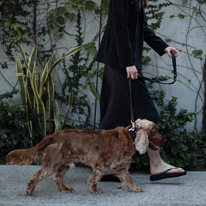 Ezydog Oxford Leather - Classic Leash