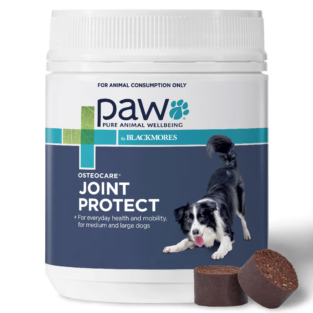 PAW DOG OSTEOCARE JOINT PROTECT 300G 60 CHEWS
