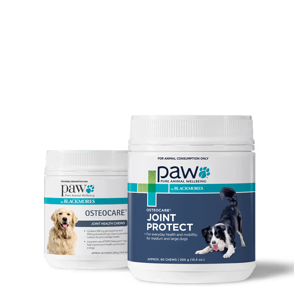 PAW DOG OSTEOCARE JOINT PROTECT 300G 60 CHEWS