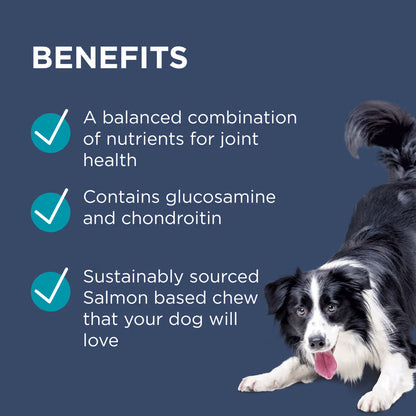 PAW DOG OSTEOCARE JOINT PROTECT 300G 60 CHEWS