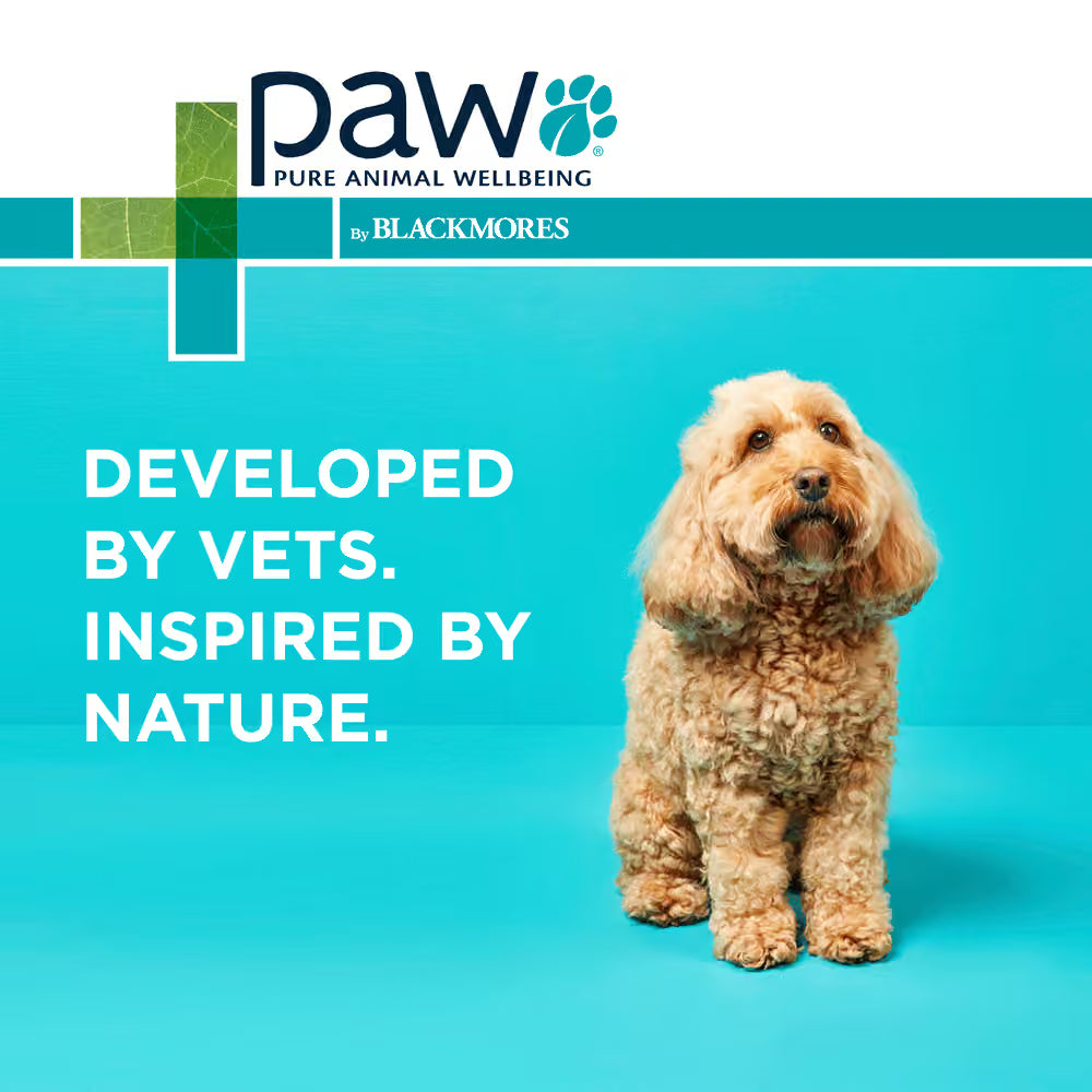 PAW DOG OSTEOCARE JOINT PROTECT 300G 60 CHEWS