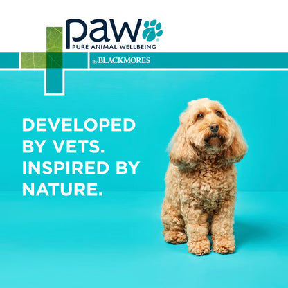 PAW DOG OSTEOCARE JOINT PROTECT 300G 60 CHEWS