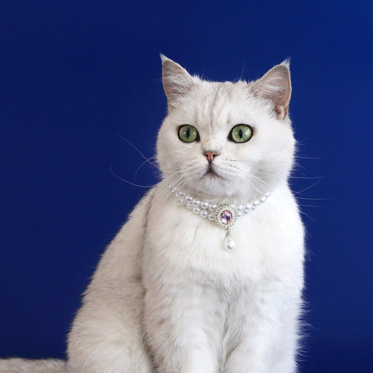 Faux Pearl & Crystal Necklace for Cats & Small Dogs