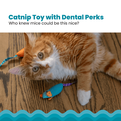 PETSTAGES CATNIP DENTAL HEALTH MICE TOY 2PK