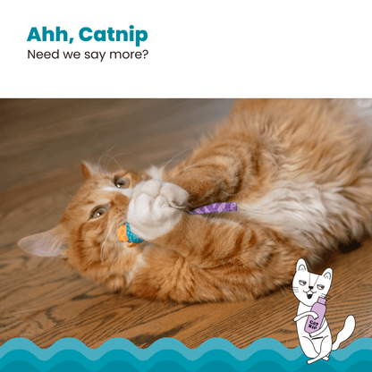 PETSTAGES CATNIP DENTAL HEALTH MICE TOY 2PK