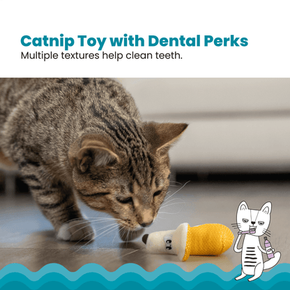 CATSTAGES CAT DENTAL BANANA CATNIP CAT TOY