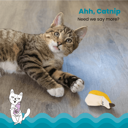 CATSTAGES CAT DENTAL BANANA CATNIP CAT TOY